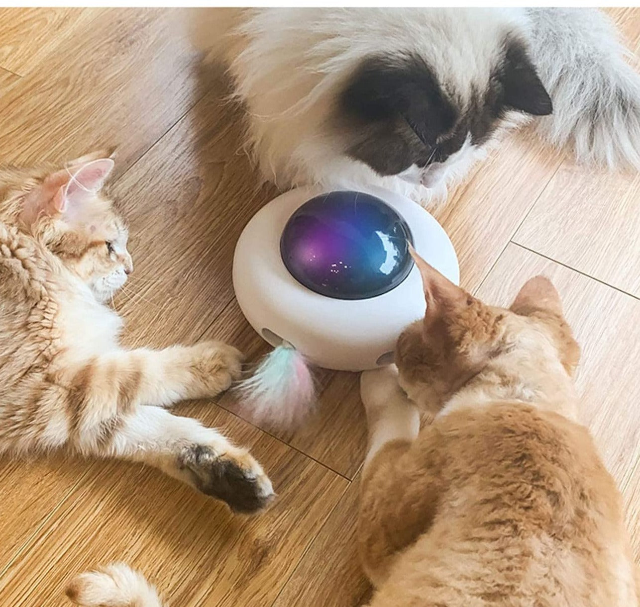 KrazyDisk - UFO Interactive Cat Toy